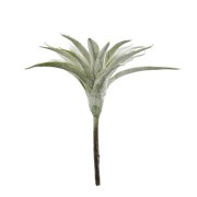 flora-succulent-h13-cm-green
