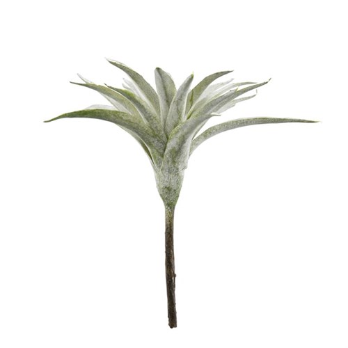 flora-succulent-h13-cm-green