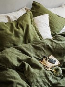 111106146-origpic-53e753