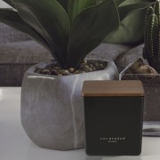 37549372_1807785912650462_1673518134353108240_n