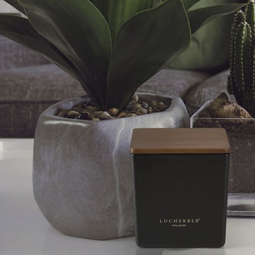 37549372_1807785912650462_1673518134353108240_n