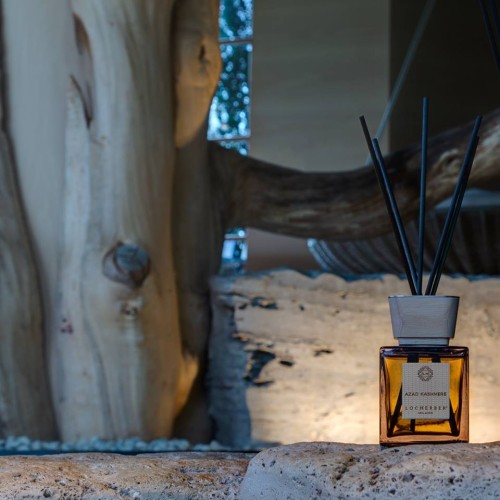 49761423_1871400302972977_1400090928256909312_n