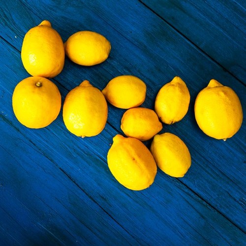 65150991_142290580283780_36827352813565258_n