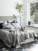 163032893-origpic-c290cc