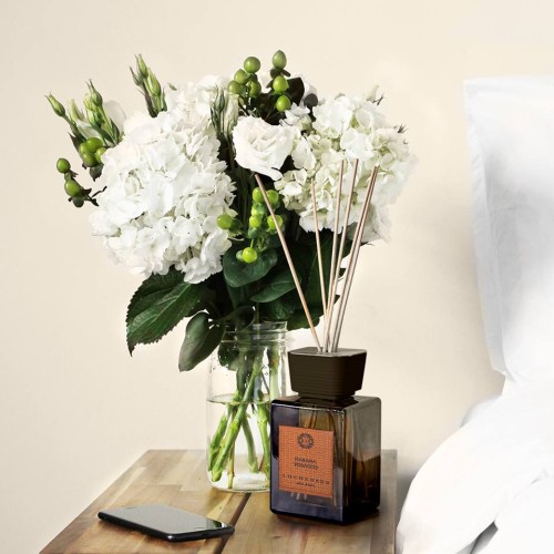 37376105_1631492966963713_7344402133518647296_n