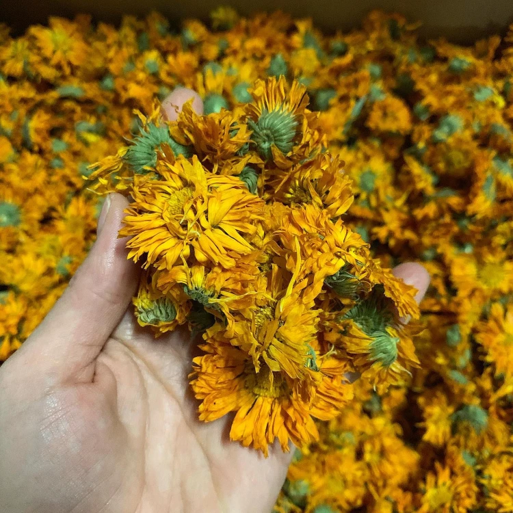 81140344_521404145132705_7907407414708666368_o