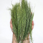 70795363_453165635289890_2274850611105103872_o