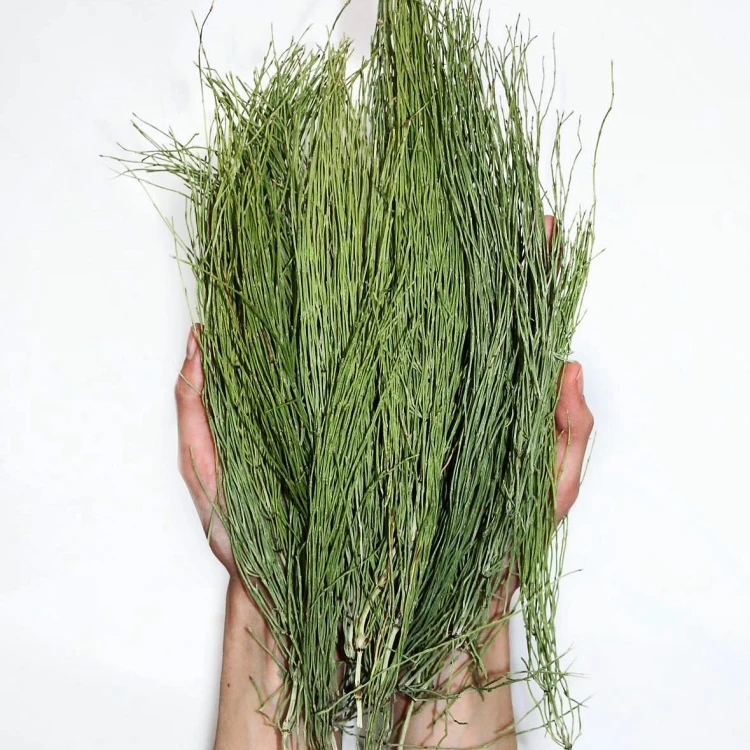 70795363_453165635289890_2274850611105103872_o