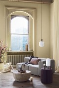 rattan