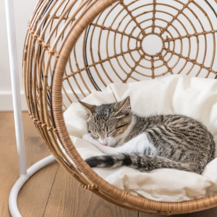 rattanowy-wiszacy-kosz-dla-psa-kota-jline-casa-carina