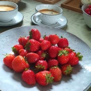 piaskowy-talerz-obiadowy-nordic-sand-broste-copenhagen-casa-carina