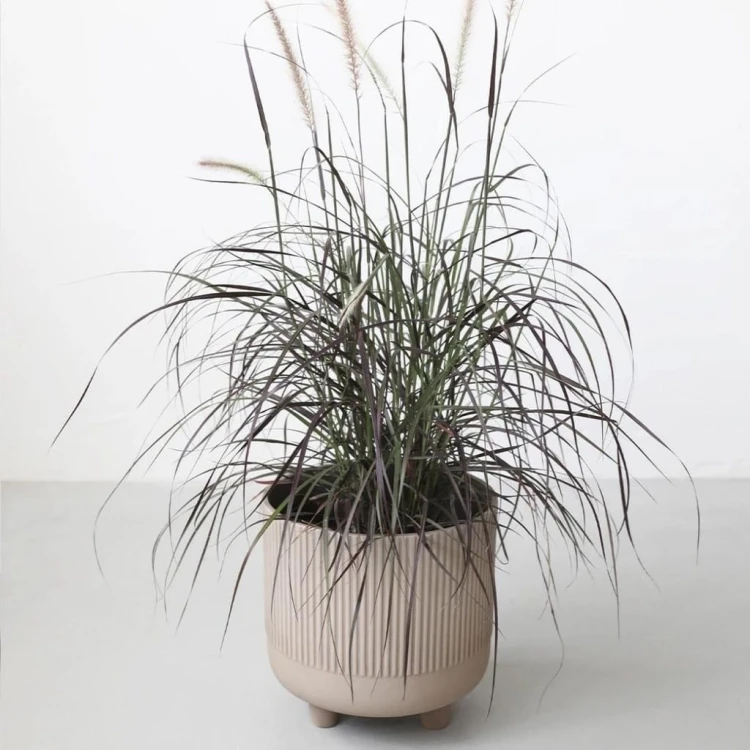 szara-doniczka-na-3-nogach-terakota-18-22cm-kristina-dam-studio-casa-carina.jpg