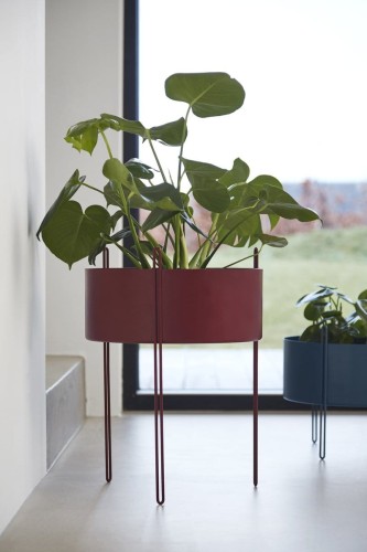 WOUD_pidestall czerwona.jpg