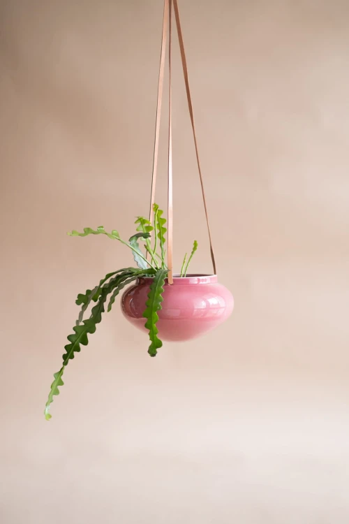 osaonka-wisz•ca-OVAL-ciemny-roz.jpg