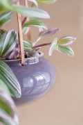 osaonka-wisz•ca-OVAL-fiolet-zd.jpg