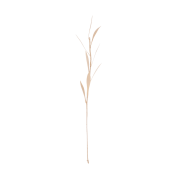 c5566e10098ab03ba7f7b932fc13a476