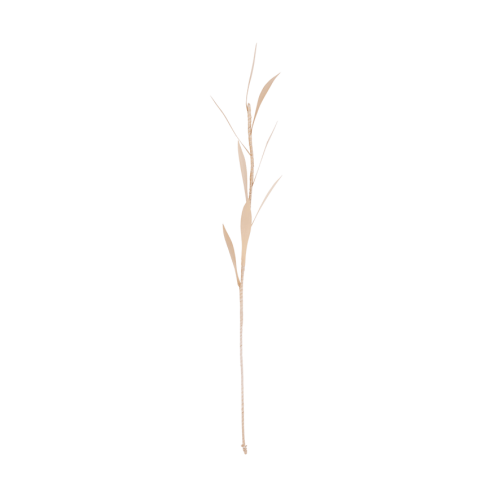 c5566e10098ab03ba7f7b932fc13a476