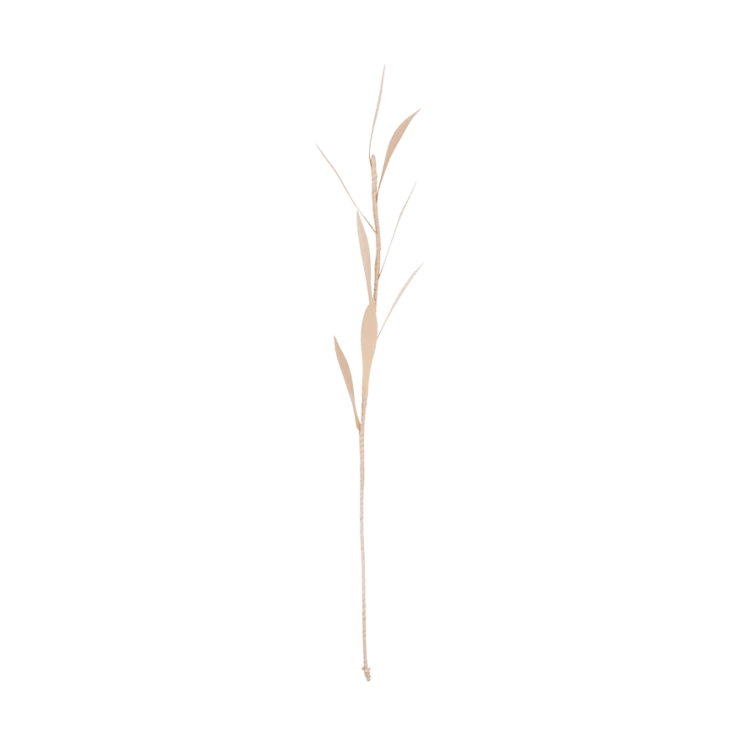c5566e10098ab03ba7f7b932fc13a476