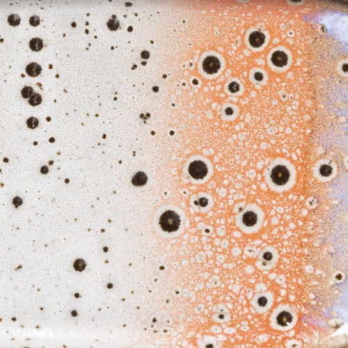 6e0db0d3690a831e15ad59ea8183e253