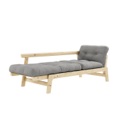 szary 1.png