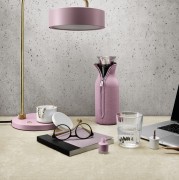 567975_Fcasa-carina.jpg