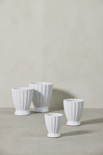 A00024555-Mood-1 (1).jpg