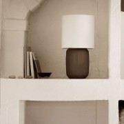 casa-carina 1 lampa.jpg