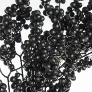 p_A00012911_slideshow_1.webp
