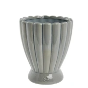 casacarina_A00025013_szara doniczka.webp