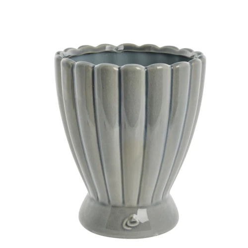 casacarina_A00025013_szara doniczka.webp