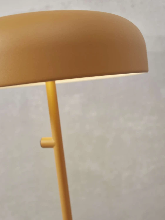 aa525d501291326688dbce3aea6f0c5f