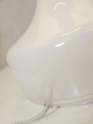 97b17ff56961dc1a88219f04536e41e2