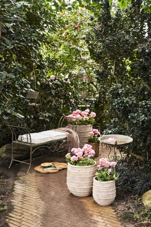 p_533266_capo donice duże.jpg