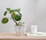 bialy-marmurowy-pojemnik-z-pokrywka-ellia-lene-bjerre-casa-carina-3.png