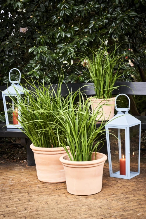 toscana-doniczka 31.jpg