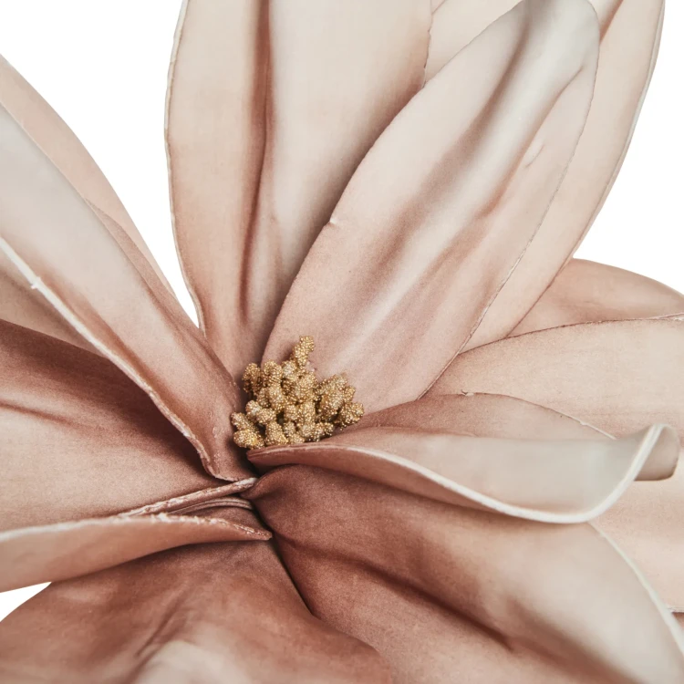 magnolia rozowa1.webp