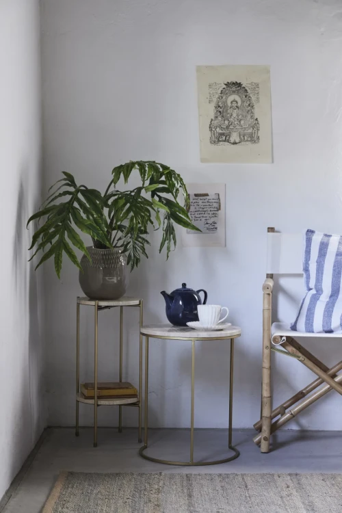 camile filiżanka 1.webp