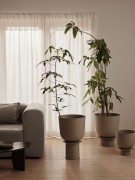 juno donica w rozmiarze M.jpg