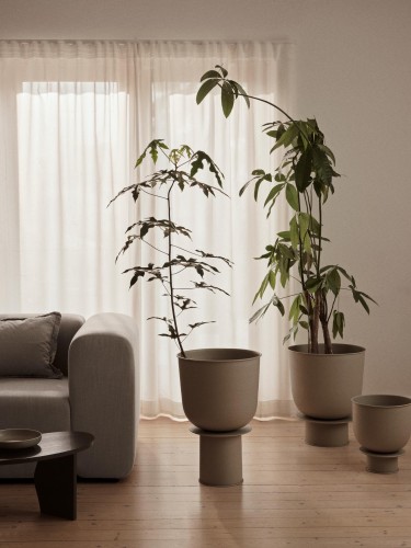 juno donica w rozmiarze M.jpg