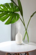 181201015Vapor_C_white_01_3__00465.jpg