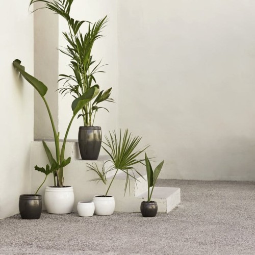 zestaw brązowych donic tine k home