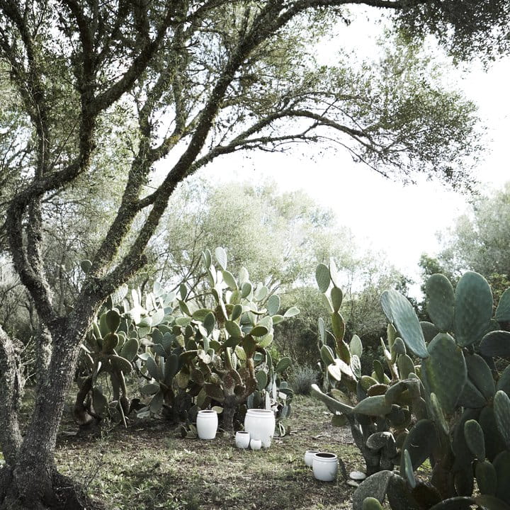 doniczka biała wysoka