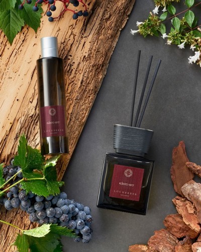 42654631_173389036879666_3692830683280866405_n