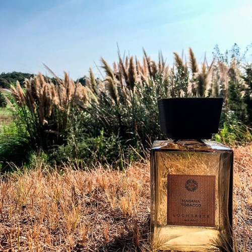 42915844_121960405445906_6747579876467995861_n