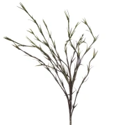 zielona gałązka dekoracyjna