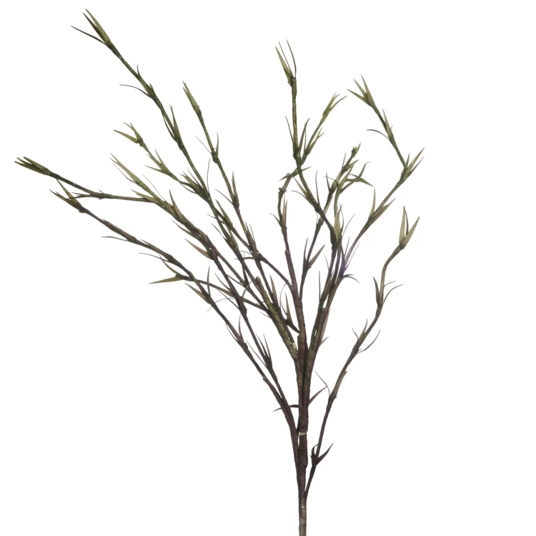 zielona gałązka dekoracyjna