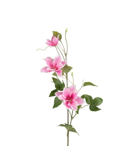 Mr Plant - gałązka dekoracyjna powojnik 85 cm