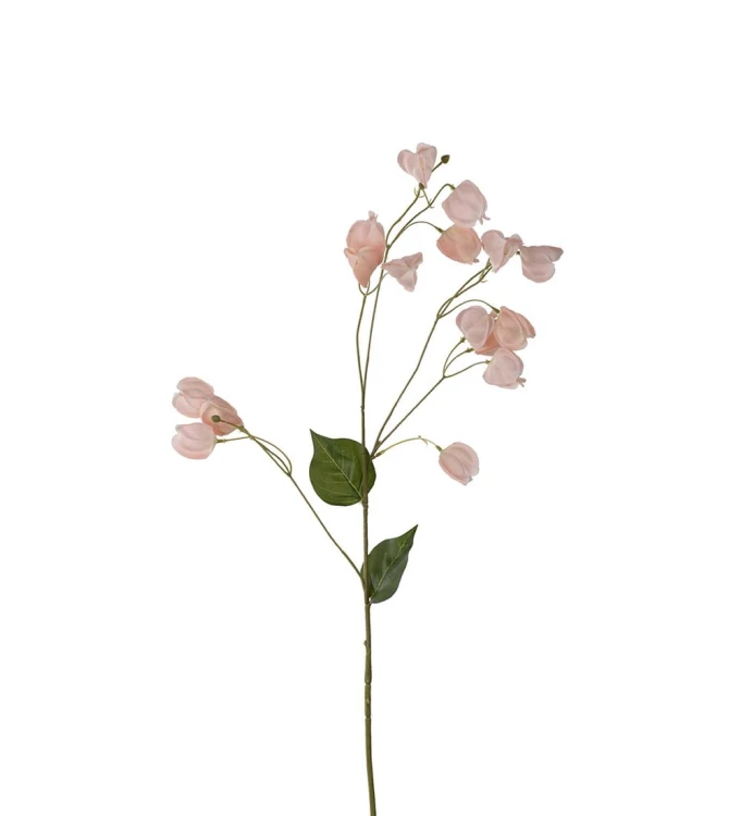 Mr Plant - gałązka dekoracyjna miechunka 85 cm