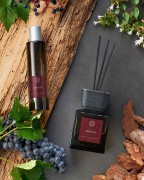 42654631_173389036879666_3692830683280866405_n