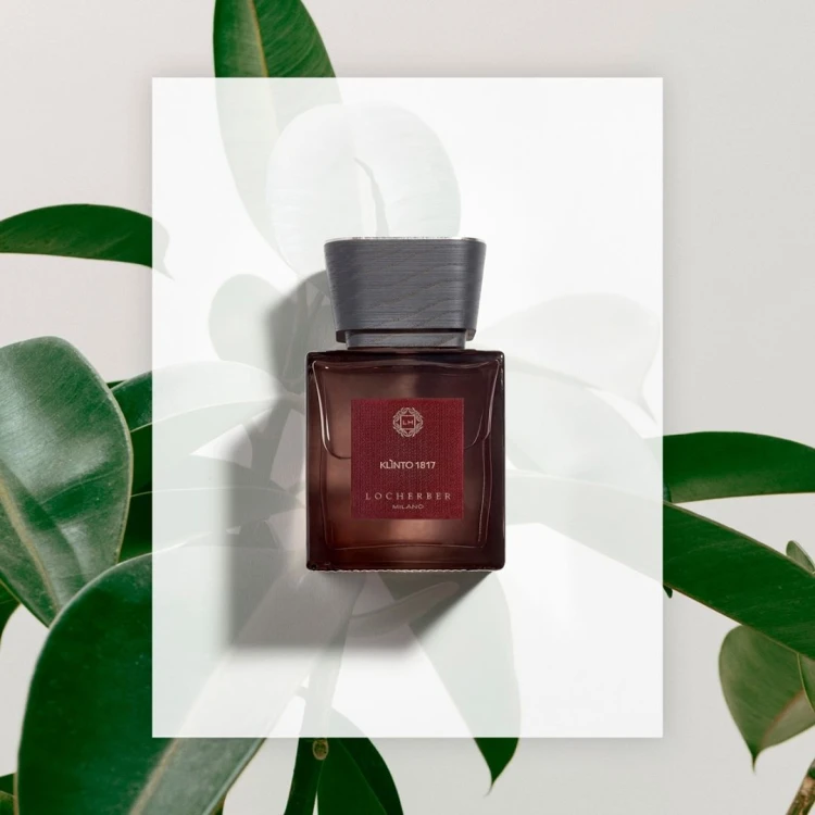 42478890_533189143793221_575484455236244746_n